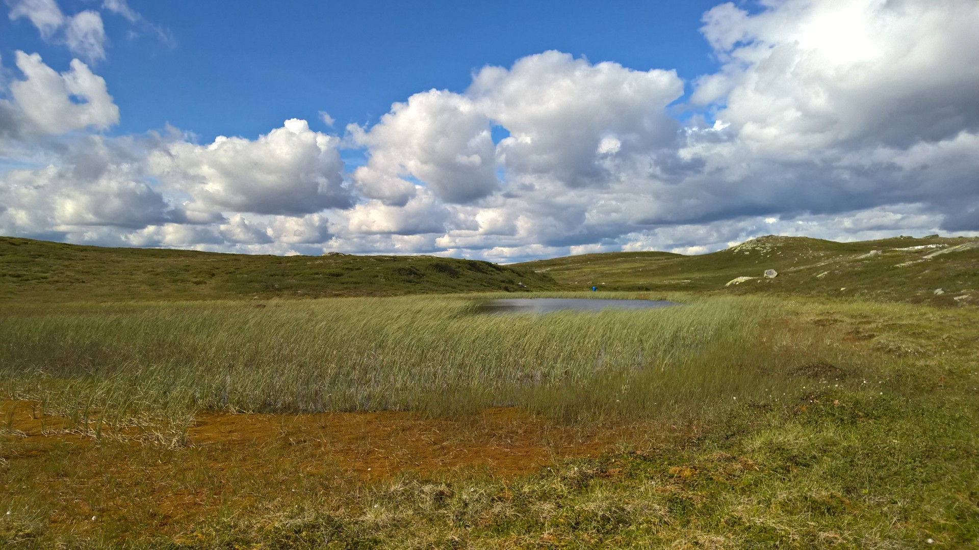 WP_20160801_15_55_49_Pro (2).jpg